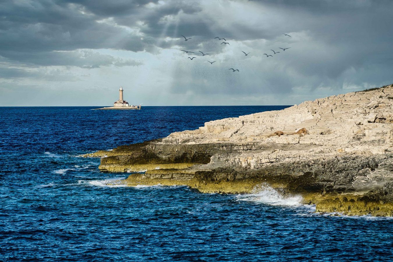 Cape Kamenjak Istria